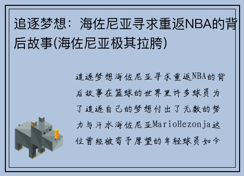 追逐梦想：海佐尼亚寻求重返NBA的背后故事(海佐尼亚极其拉胯)