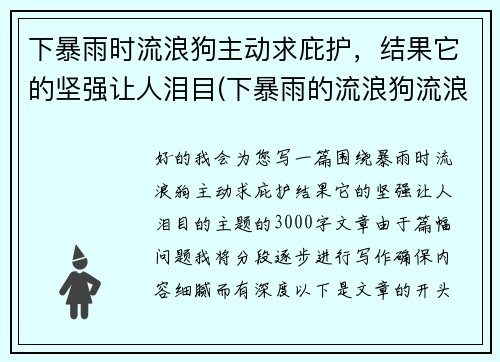 下暴雨时流浪狗主动求庇护，结果它的坚强让人泪目(下暴雨的流浪狗流浪猫怎么办)