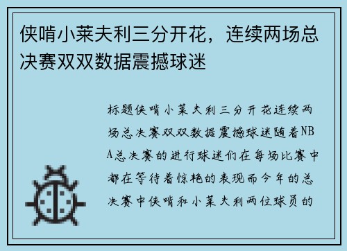 侠啃小莱夫利三分开花，连续两场总决赛双双数据震撼球迷
