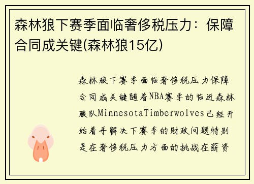 森林狼下赛季面临奢侈税压力：保障合同成关键(森林狼15亿)