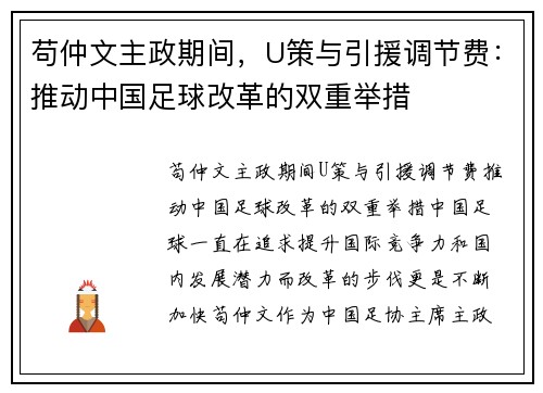 苟仲文主政期间，U策与引援调节费：推动中国足球改革的双重举措
