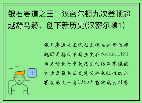 银石赛道之王！汉密尔顿九次登顶超越舒马赫，创下新历史(汉密尔顿1)