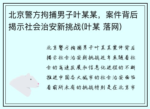 北京警方拘捕男子叶某某，案件背后揭示社会治安新挑战(叶某 落网)