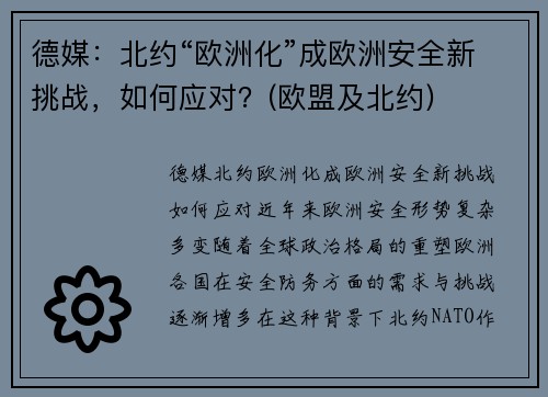 德媒：北约“欧洲化”成欧洲安全新挑战，如何应对？(欧盟及北约)